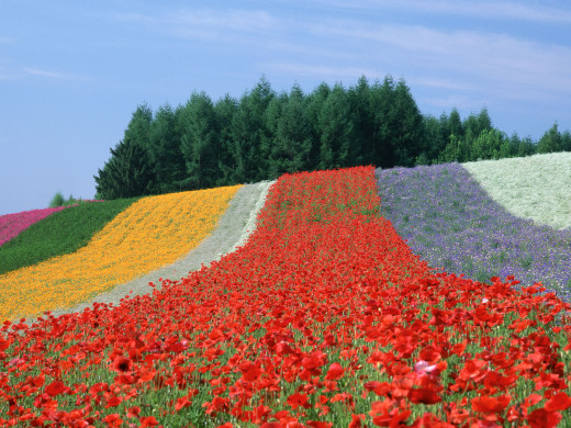 42691 (a): :1600x1200